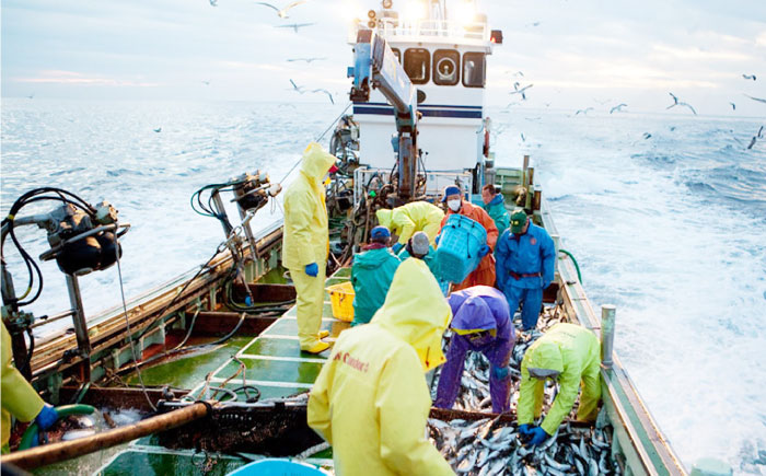 【食品添加物不使用】【お徳用】辛子明太子並切　500g×2個セット　築上町 / 株式会社　海千 [ABEQ026]
