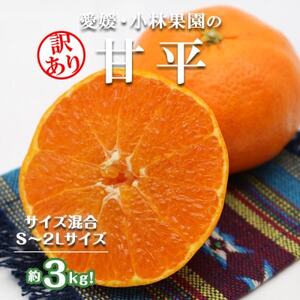 ★訳アリ★【数量限定300箱】　愛媛・小林果園の甘平(かんぺい)約3キロ【C24-39】【1711287】