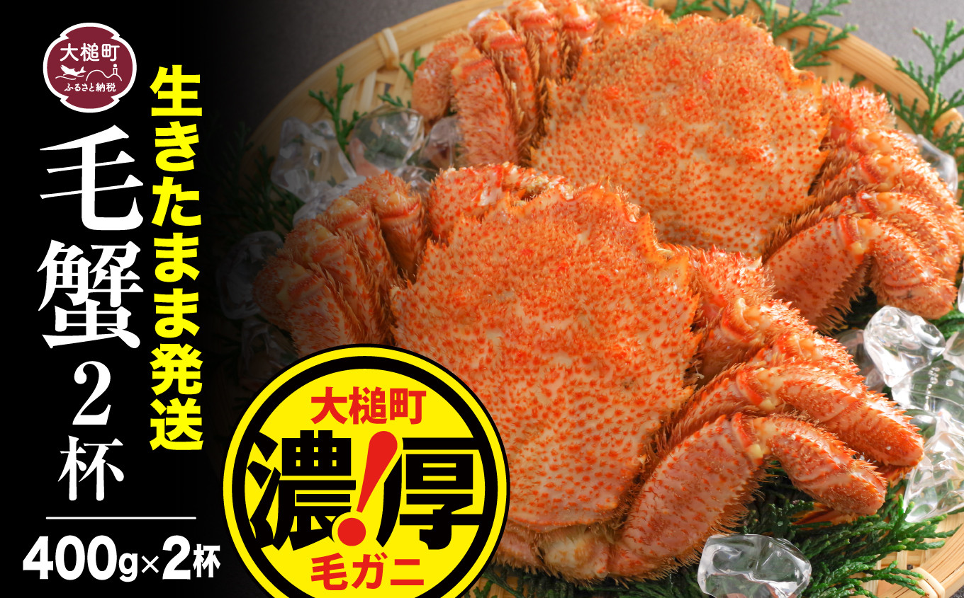 
            【令和8年発送先行予約】三陸産！活毛ガニセット 400g×2杯【08】【2026年2月～4月発送】
          