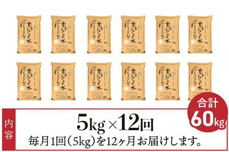 3人に1人がリピーター! ☆全12回定期便☆ 岩手ふるさと米 5kg×12ヶ月（計60kg） 一等米ひとめぼれ 令和7年産  東北有数のお米の産地 岩手県奥州市産【配送時期に関する変更不可】 [U01