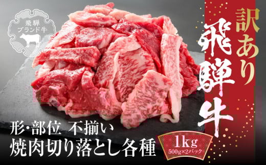 訳あり 飛騨牛 焼肉 切り落とし 1kg(500g×2パック) 冷凍真空パック | 肉 お肉 切落し 不揃い 焼肉 焼き肉 やきにく 黒毛和牛 和牛 人気 おすすめ 牛肉 ギフト お取り寄せ 飛騨高山ミート MZ036