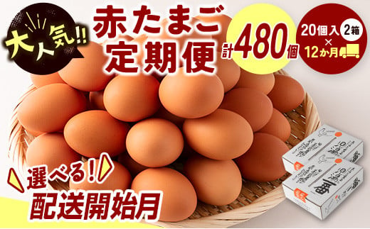 児湯養鶏自慢の卵 計480個（40個×12回） 12ヶ月定期便