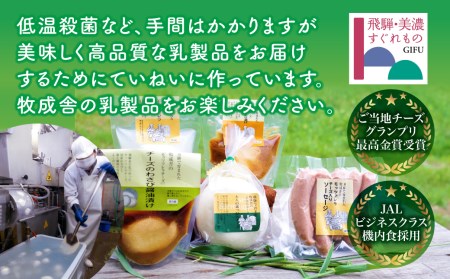 ＜牧成舎＞飛騨のナチュラルチーズ＆チーズたっぷりピザ＆ヨーグルトセット[Q1643]