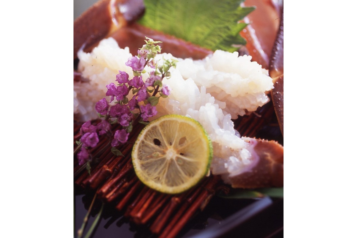 【幻のズワイ蟹】京丹後産 活間人蟹 鮮度抜群、活きたままお届け！！ 800g級×1杯　YK00081