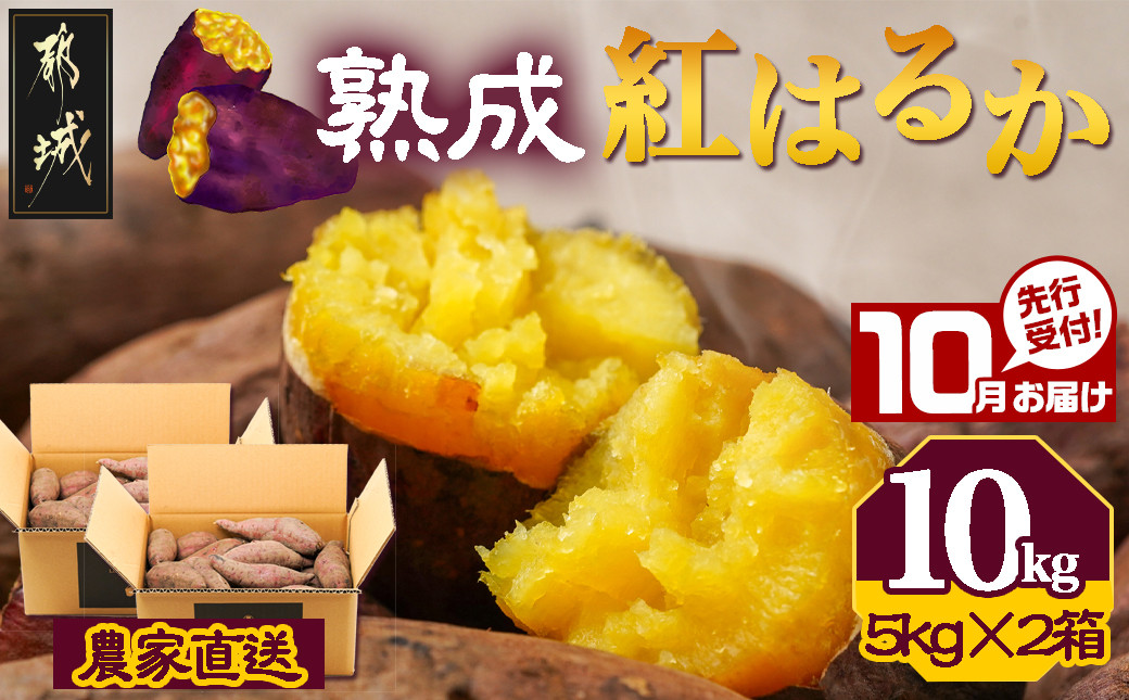 
            先行受付!【10月お届け】【農家直送】山下農園　熟成紅はるか 10kg_12-I701-10_(都城市) 都城産 紅はるか 10kg 農家直送 サイズ未選別 さつまいも 長期熟成
          