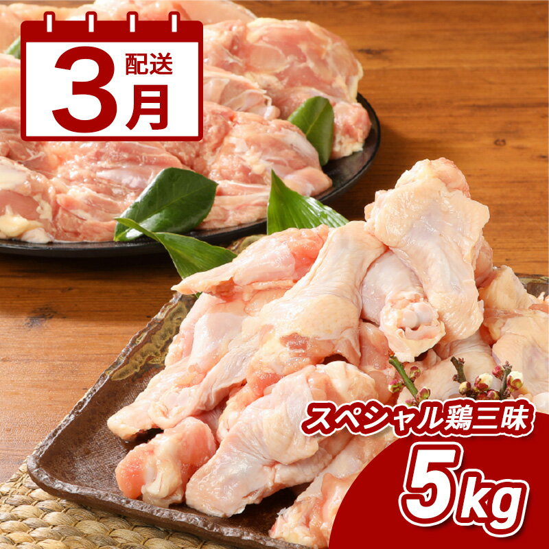 【ふるさと納税】3月配送★宮崎県産鶏 スペシャル鶏三昧5kgセット - 鶏もも肉 鶏むね肉 手羽元 総重量5キロ 鶏肉セット 唐揚げ/チキン南蛮/サラダチキン/煮物 3種類の部位 真空パック 送料無料【宮崎県木城町】