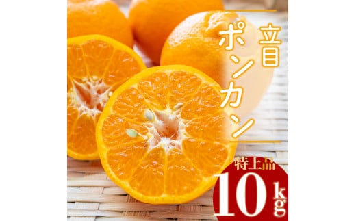 【2026年2月より発送】高知県産 立目 ぽんかん みかん 柑橘 特上品 10kg 贈答用 KJS015_x