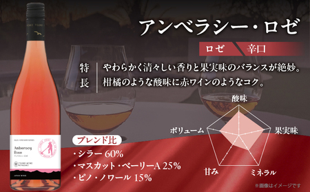 【数量限定】アンベラシー ロゼ(計1本) ワイン 酒 アルコール 国産_T014-047