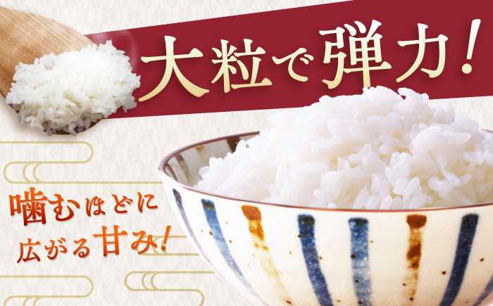 お米 米 ご飯 白米 白ご飯  無洗米 ごはん コメ お弁当 精米 精白米 さがびより 8㎏