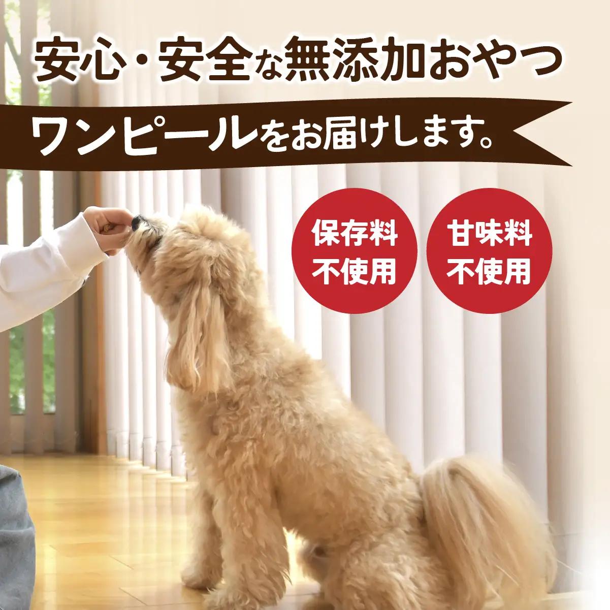 ペットフード ドライさつまいも お徳用フレーク(300g×2袋)    | ペットフード ぺっとふーど 犬 