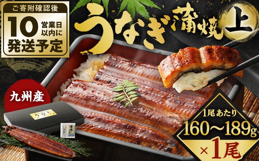 
            【10営業日発送】 九州産 うなぎ蒲焼 上 1尾 （160～189g） うなぎ蒲焼き うなぎ 鰻 ウナギ 蒲焼 蒲焼き 冷凍 福岡県 北九州市
          