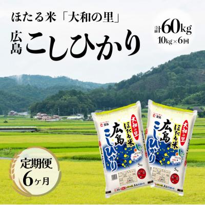 ふるさと納税 三原市 【6ヶ月定期便】ほたる米「大和の里」広島こしひかり10kg(5kg×2) [066-006]