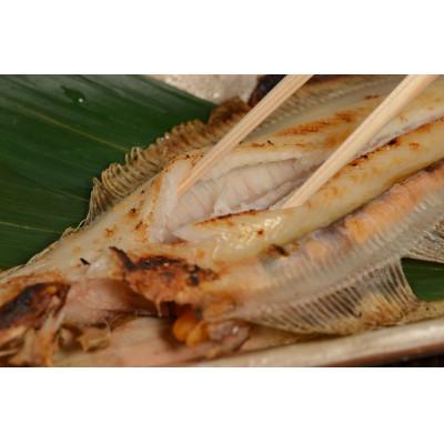 ふるさと納税 小浜市 一夜干し鰈の中では有名なほんのりと甘くて上品な旨味の皇室献上の若狭かれは特に貴重品 |  | 02
