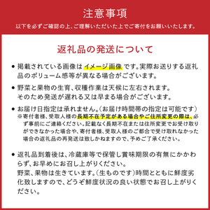 数量限定 江刺りんご ジョナゴールド・トキ 5kg（16～20玉）【10月下旬以降お届け】 離島配送不可 [AQ026]