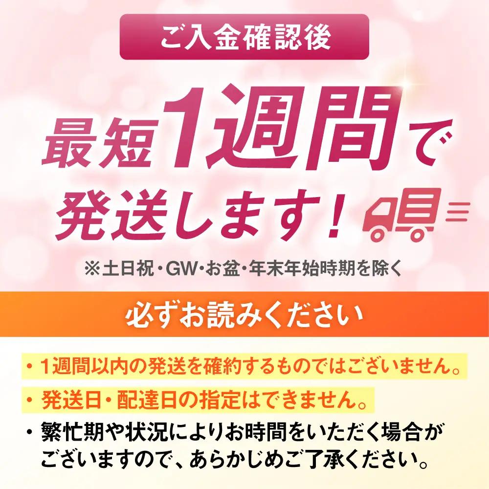 福岡県産 夢つくしパックご飯 24個 ADBG001 パックご飯 人気