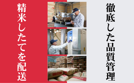 新潟産新之助 5kg《令和7年産》 【しんのすけ 農家直送 糸魚川 令和7年産 2025年産 米どころ新潟 米作りのプロ 地元農家 JA 自信作！ 美味しい 農家自慢 お米 白米 おにぎり お弁当 新