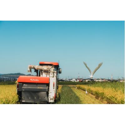 ふるさと納税 筑前町 令和7年産 身体にやさしいお米【栽培期間中、農薬・化学肥料を一切使わず育てたお米】農家直送致します |  | 02