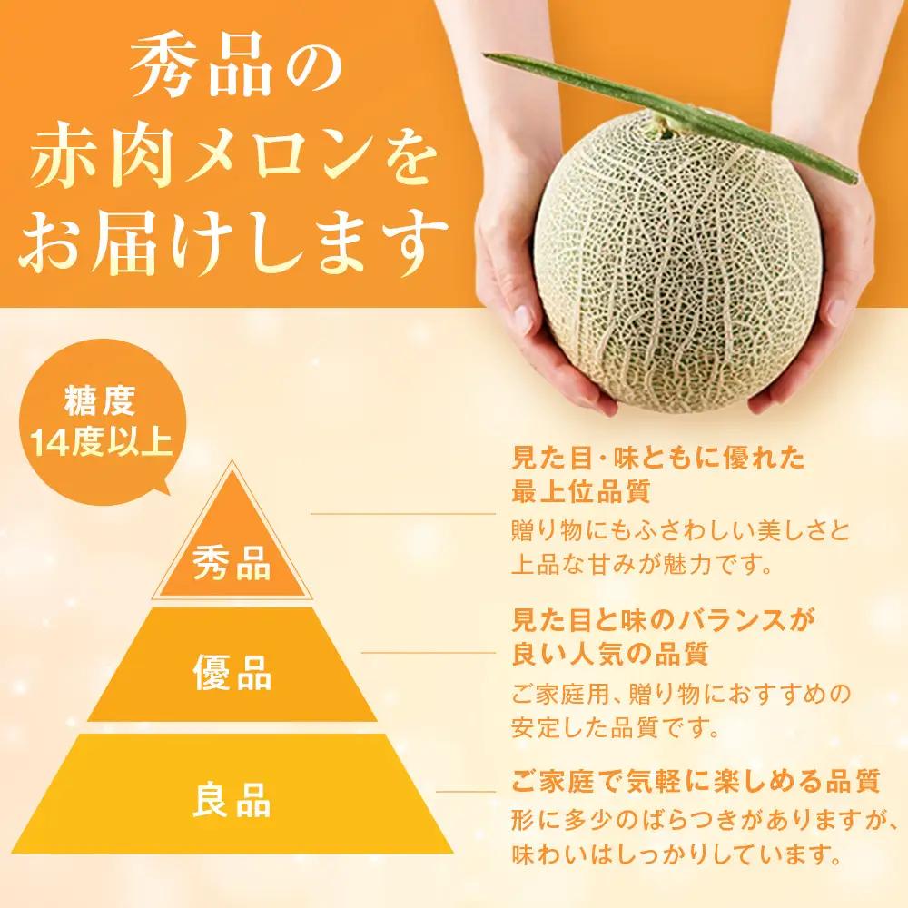 【先行予約】秀品 北海道産赤肉メロン約1.6kg×2玉 (2026年7月中旬から発送開始)  メロン _05926