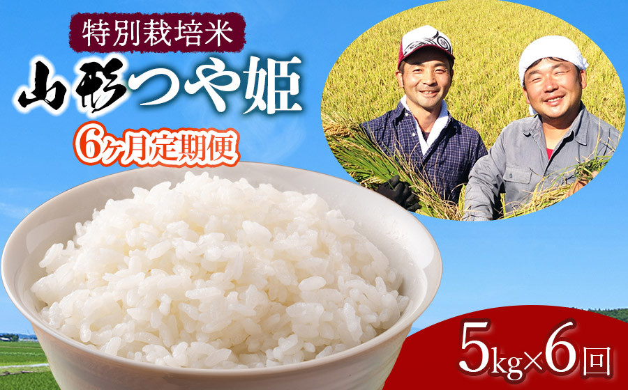 
            【令和7年産先行予約】【定期便】 特別栽培米 山形つや姫 精米 5kg×6ヶ月　山形県鶴岡市産　鶴岡ファーマーズ
          