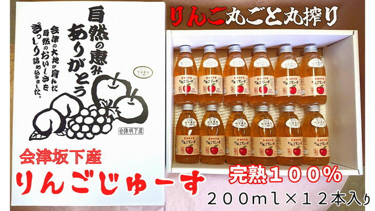 【ふるさと納税】16-O　相良農場　りんごジュース200ml12本入り　（品種違い組み合わせ）小瓶セット