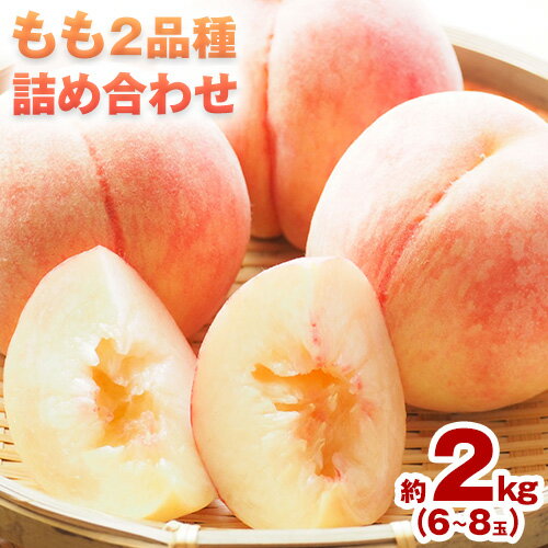 【ふるさと納税】【先行予約】もも 桃 2品種詰め合わせセット 川中島白桃 白麗 サンゴールド 黄金桃 恵白 いずれか2品種をお届け 2kg 6～8玉 小寺農園《2025年7月下旬-8月中旬頃出荷》 岡山県 笠岡市 岡山県産 白桃 黄桃 モモ 果物 フルーツ 先行予約