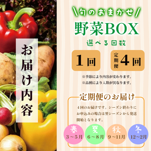 【4回定期便】季節の野菜 詰め合せ セット 6～8種類 年4回 旬野菜