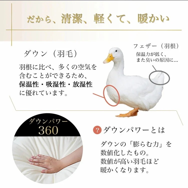 【パウダーグレー（無地）】京都金桝 冬用羽毛布団 セミダブルサイズ×1枚 無地 シンプル 【ふとん 布団 寝具 国産 日本製 羽毛布団 羽毛ふとん 羽毛ぶとん うもうぶとん うもうふとん 本掛け 羽毛