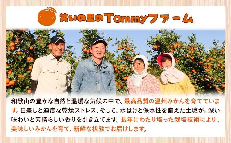 訳あり 木なり ハッサク 約10kg 笑いの里のTommyファーム