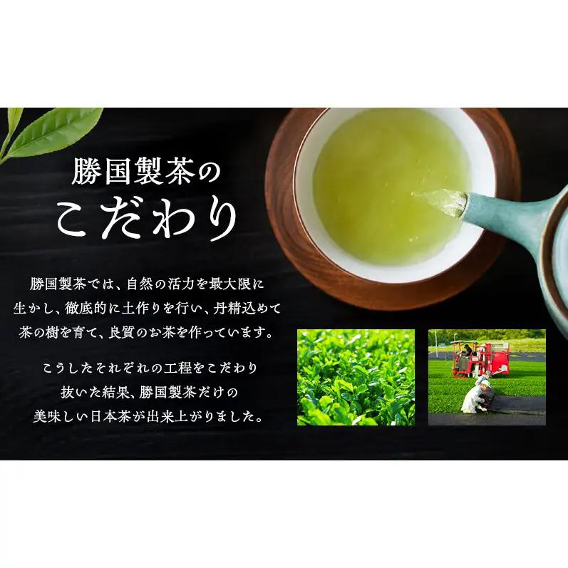 煎茶 鈴子 100g×2個セット 熨斗 のし あり お茶 贈答用 ギフト お中元 【ふくろう】
