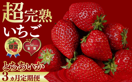 いちご ＜定期便3回＞完熟 とちあいか 約1080g  | イチゴ 完熟 栃木県 茂木町