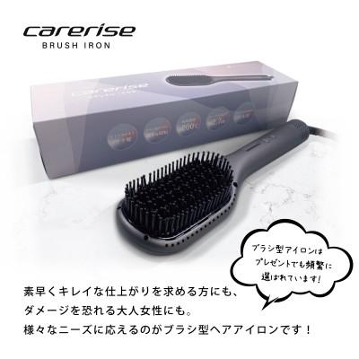 ふるさと納税 藤枝市 ケアライズ　ブラシアイロン【B-120】 |  | 01