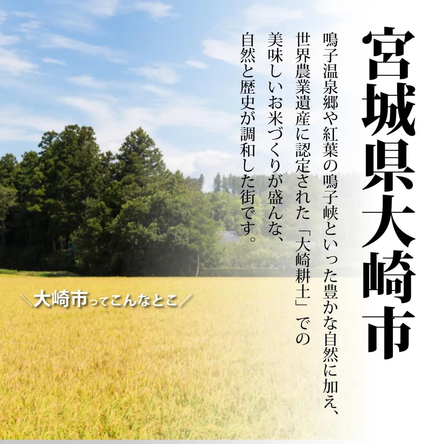 【定期5回】《精米》令和8年宮城県大崎市産 ひとめぼれ  10kg(5kg×2)*5回 | tm-htm-10kg-r8-t5