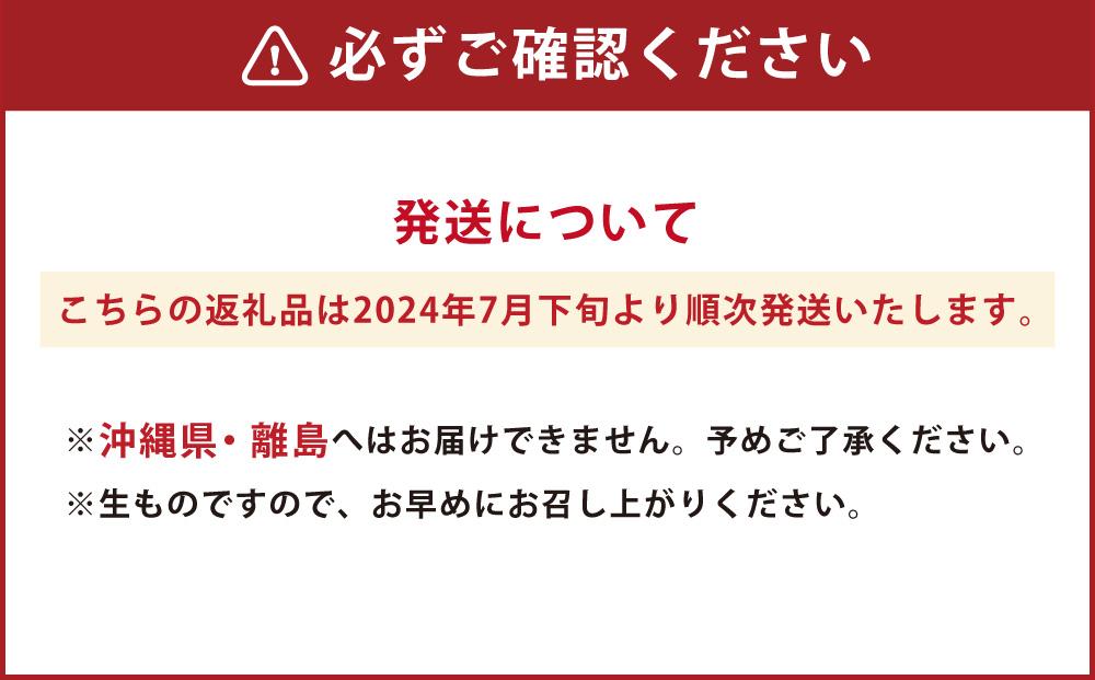 小樽産 塩水うに (ムラサキうに) 200g ウニ 雲丹 国産