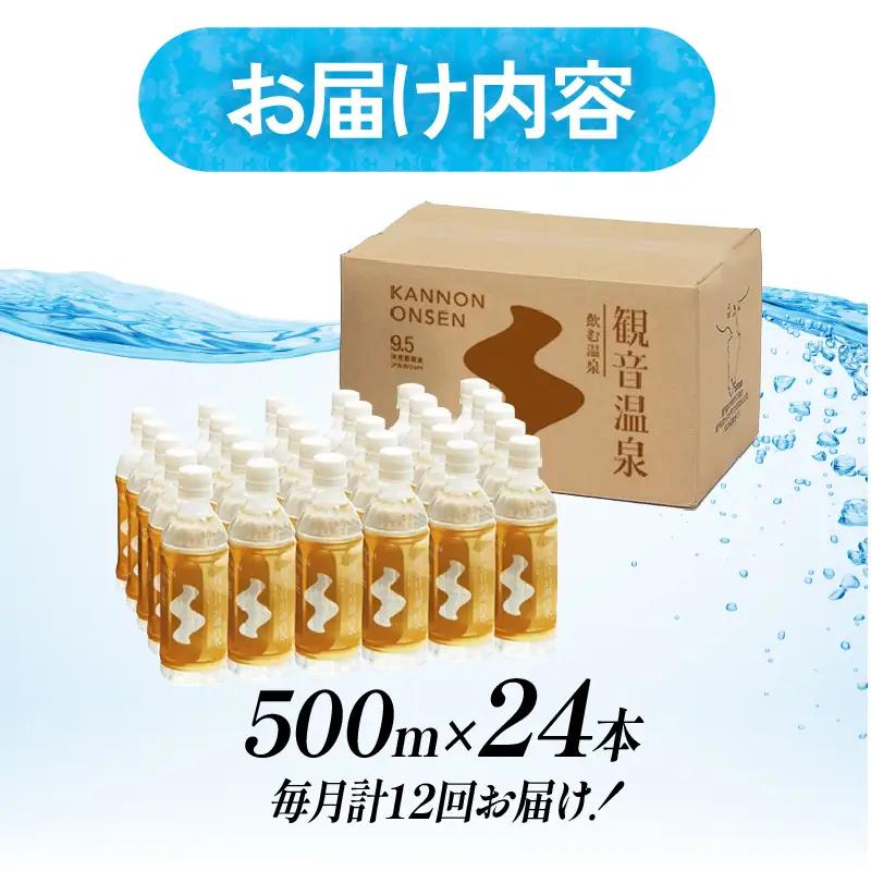 飲む温泉　観音温泉　500ml　(24本入)　1ケース　定期便　1年間　毎月