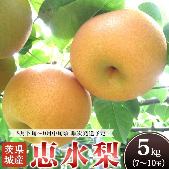 【ふるさと納税】【全国梨選手権 最高金賞受賞】茨城県産「恵水」梨 5kg【2025年8月下旬～9月中旬にかけて発送予定】【2025先行予約 果物 梨 茨城県産 なし 恵水 5kg 7～10玉 けいすい 旬 フルーツ くだもの 光センサー選別 】