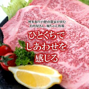 福岡県産 黒毛和牛A4ランク以上の博多和牛！ サーロインステーキ・上スライスセット
