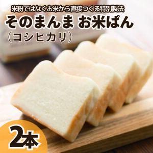 パン 食パン そのまんまお米ぱん 2本 ( 600g × 2 ） コシヒカリ 米 パン 米 パン