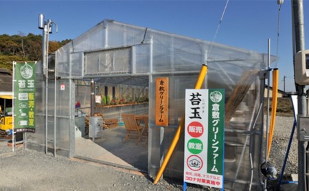 倉敷グリーンファーム 【苔玉づくり】ペア体験チケット（1個ずつ制作）