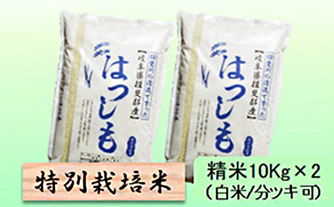 
                  特別栽培米★精米20kg（白米/5分/7分ツキ可）【ハツシモ】 玄米は別に出品 [№5644-1343]
                