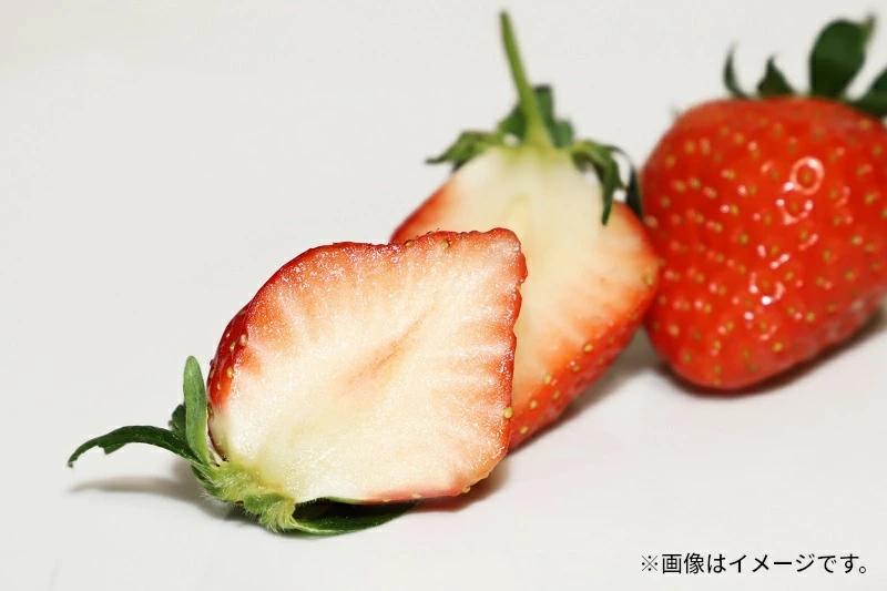 【ふるさと納税】 いちご さぬき姫 オリジナル品種  約1kg(250g×4)  [ フルーツ 果物 果実 デザート スイーツ 甘い 果汁 食品 国産 香川県 三豊市 お取り寄せ お取り寄せグルメ ギ