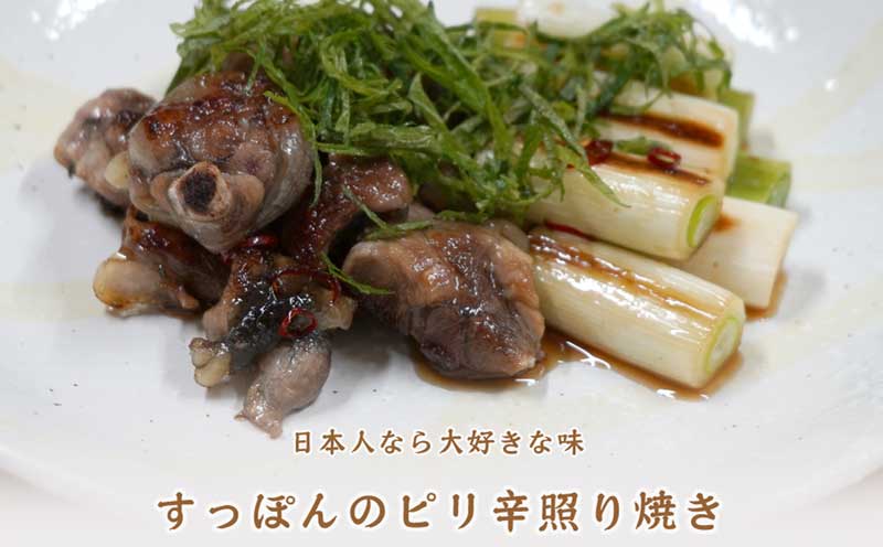 ＼10営業日以内発送／ 鼈 鍋 200g おいしいすっぽん そのあとの 雑炊 も うまい 甘口 濃縮 たれ付 水幸苑 D010-103001