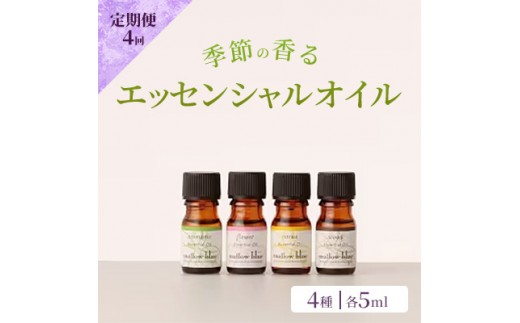 
            定期便 4回 アロマ オイル 季節の香る オリジナル ブレンドアロマ エッセンシャルオイル 4種 各5ml アロマオイル (3ヶ月に一度) 【ポスト投函】
          