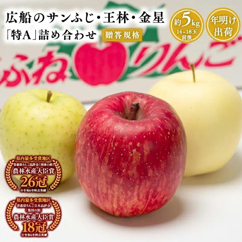 年明け りんご 贈答用 サンふじ・王林・金星 詰合せ 約5kg 青森県平川市産[hi-0004-003]