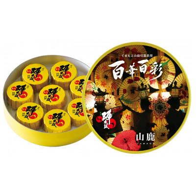 ふるさと納税 山鹿市 ご当地陣太鼓　山鹿百華百彩8入×2箱入(山鹿市)