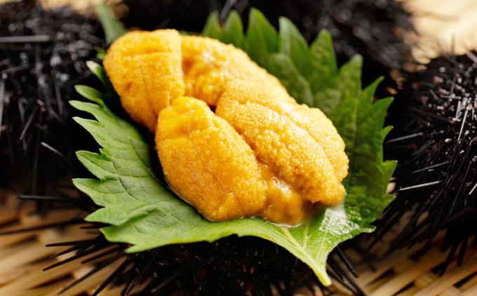 【令和8年発送先行予約】塩水うに 80g×1パック | 冷蔵 | 北海道 奥尻町 送料無料 80g (80g×1パック)