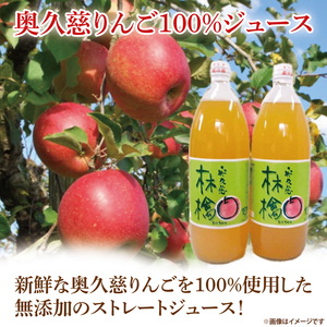 先行予約 奥久慈 りんご 10kg 24～40玉 りんごジュース 100％ リンゴジュース 飲料 無添加 ストレートジュース 樹上完熟 茨城県 大子町 フルーツ 果物 国産 詰め合わせ ふじ 秋映 陽