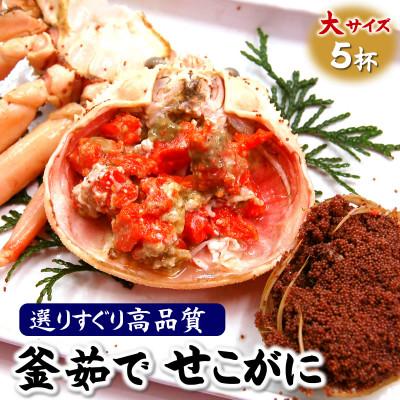 ふるさと納税 新温泉町 松葉ガニの本場より茹でたてを即出荷　釜茹でセコガニ(冷蔵)　希少な大サイズ　5枚