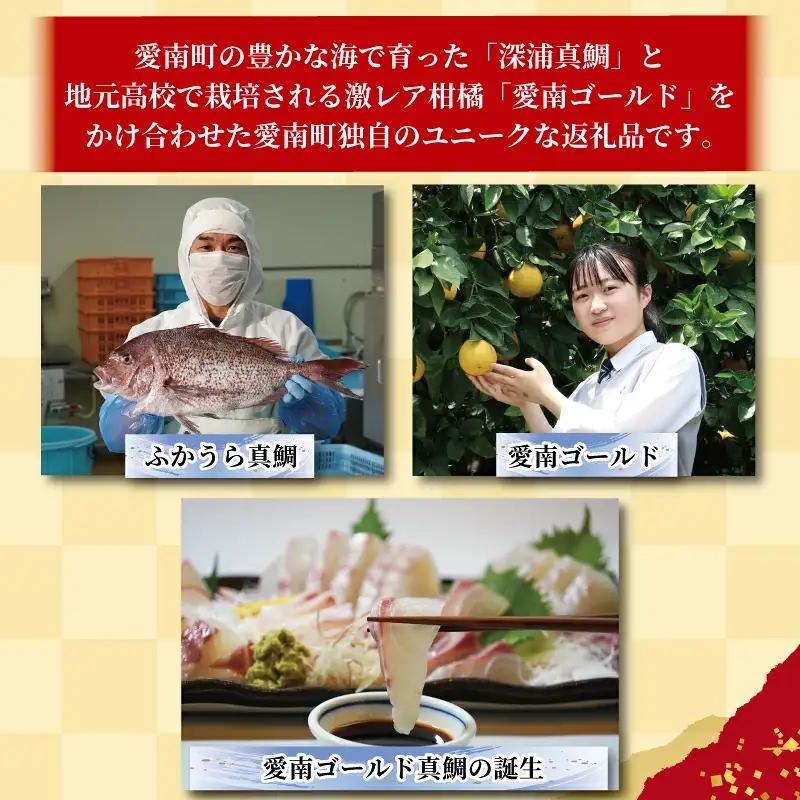 かつおのたたき 1kg 愛南ゴールド 真鯛 200g 訳あり かつお 鰹 真鯛 ハマスイ