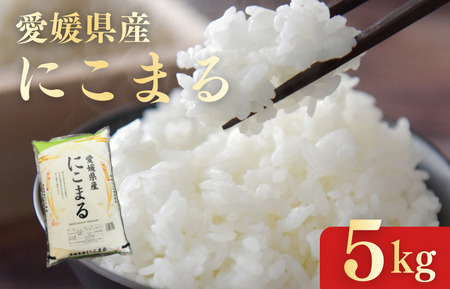 愛媛県産にこまる5kg