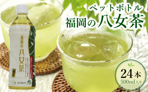 【八女茶】煎茶ペットボトル 500ml×24